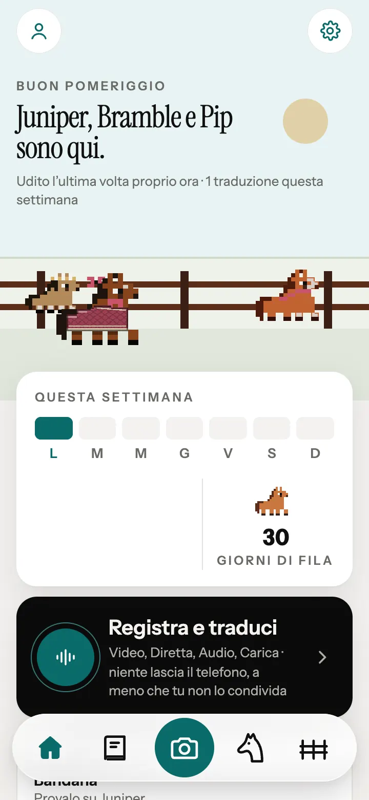 La schermata Inizio dell’app Neigh, con cavalli a pixel vicino alla staccionata.