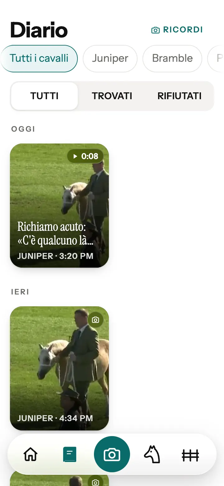Il Diario nell’app Neigh, con una traduzione conservata e delle foto.
