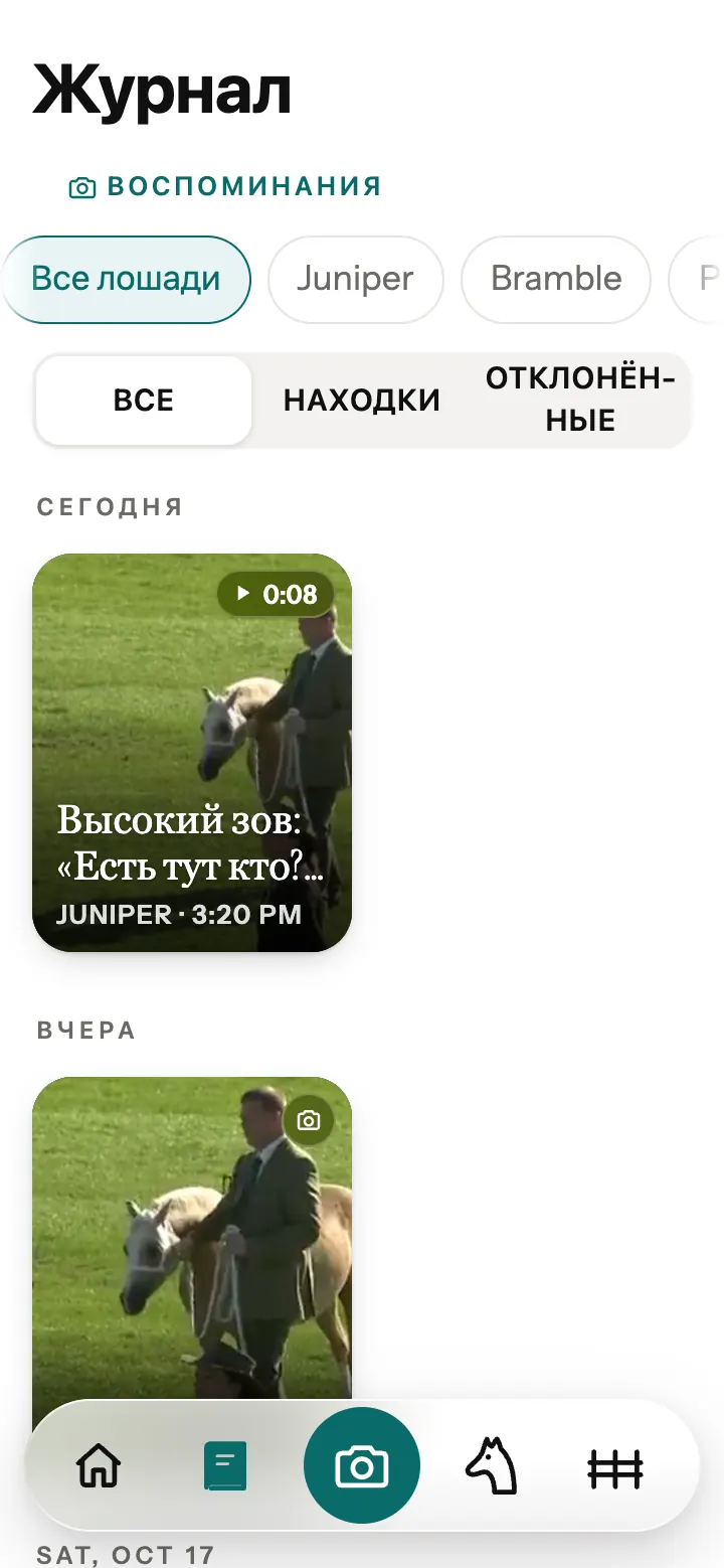 Журнал в приложении Neigh с сохранённым переводом и фотографиями.