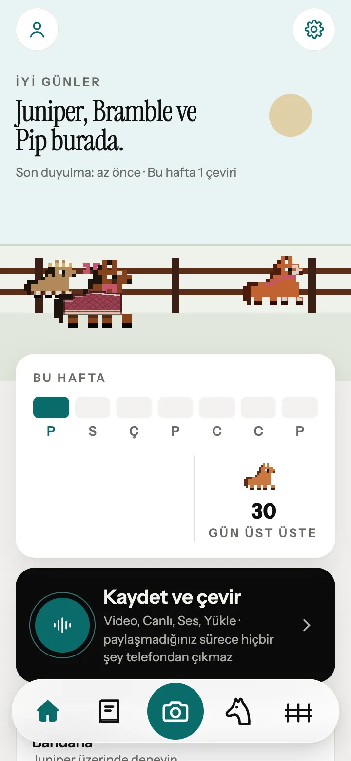 Neigh uygulamasının ana ekranı, çitin yanında piksel atlarla.
