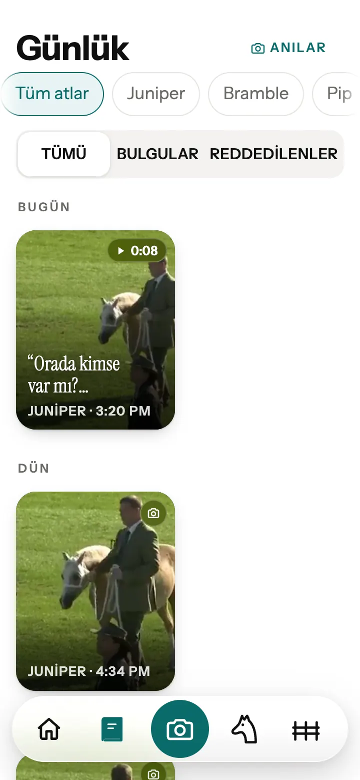 Neigh uygulamasında Günlük: saklanan bir çeviri ve fotoğraflar.